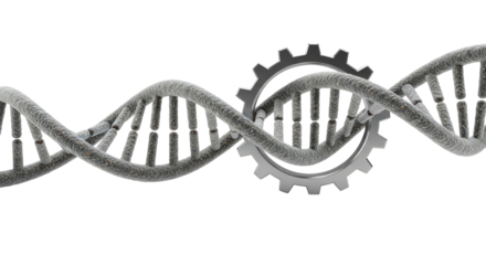 Genetic engineering: dna helix intertwined with cogwheel mechanism isolated on transparent background