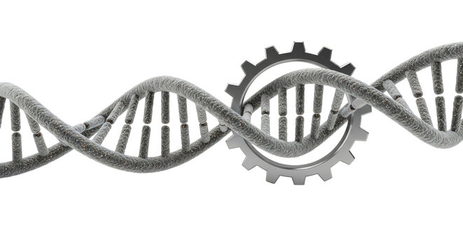 Genetic engineering: dna helix intertwined with cogwheel mechanism isolated on transparent background