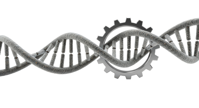 Genetic engineering: dna helix intertwined with cogwheel mechanism isolated on transparent background