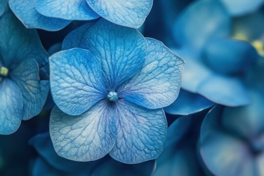 A vibrant blue hydrangea bush with delicate petals and a rich, earthy scent. - Powered by Adobe