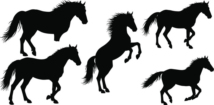 Wild horse silhouettes running and rearing in motion, black vector illustration, animal strength, equine energy, freedom and nature wildlife art design