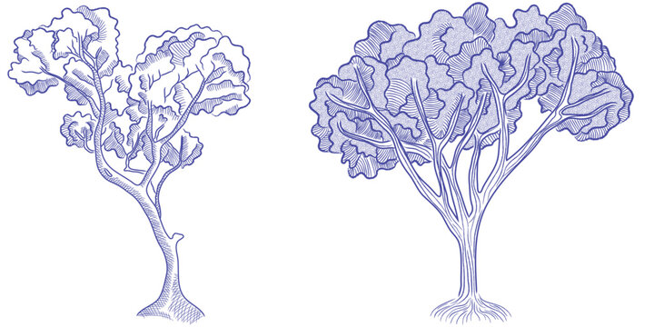 Toile de Jouy style tree illustration featuring delicate linework, soft blue engraving tones, and classic foliage silhouettes, perfect for vintage patterns, pastoral scenes, and elegant decorative