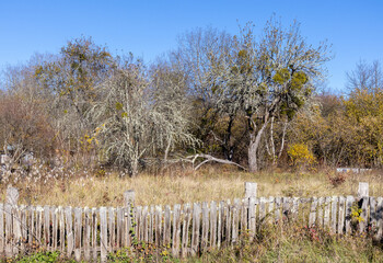 Autumn in the countryside, the morning sun warming the ground that had cooled during the night