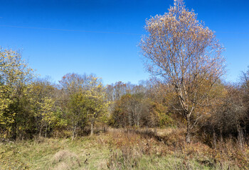 Autumn in the countryside, the morning sun warming the ground that had cooled during the night