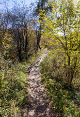 Autumn in the countryside, the morning sun warming the ground that had cooled during the night