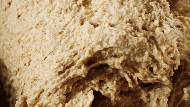 Close-up of rising gluten-free sourdough bread dough. Texture, air bubbles and fermentation process. Traditional recipe made from rye flour. Craftsman, cooking, bakery, culinary or bakery background
