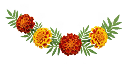 Vibrant Marigold Flower Garland On Black Background