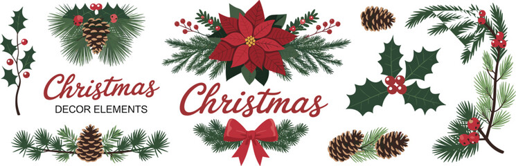 Christmas botanical decor elements with poinsettia, holly leaves, pine branches, red berries, pinecones, festive winter floral illustration design for holiday decoration