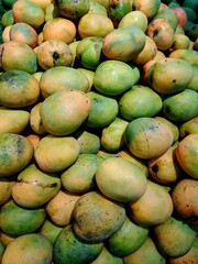 fresh mango fruit