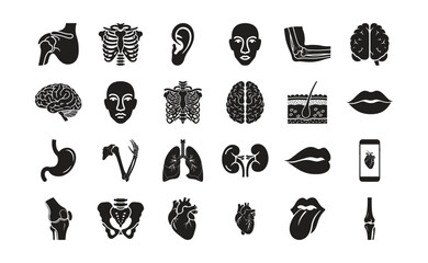 Human body anatomy icons, medical and science illustrations collection. Vector set
