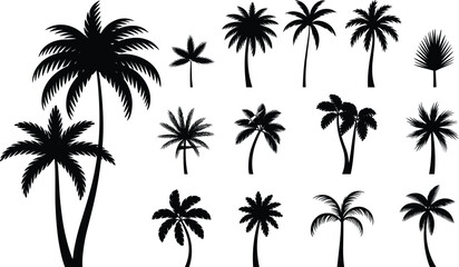 Palm tree silhouette collection, tropical tree icons, exotic frond shapes, graphic palm designs, botanical illustration set, black blue outline, nature clipart, vector art