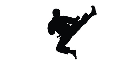 Abstract geometric shapes with vibrant color accents and a distinctive silhouette style