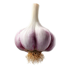 Fresh, vibrant garlic bulb with roots, showcasing textured skin and rich colors.