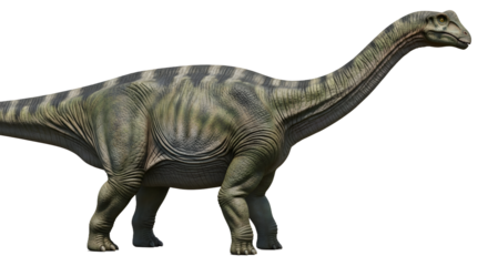 Brontosaurus dinosaur a long-necked herbivore from the Jurassic period isolated on white background
