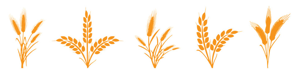 wheat, wheat stalks, grain, cereal, agriculture, harvest, food, bread, bakery, organic, natural, illustration, icon, set, collection, watercolor, brush stroke, paint, orange, yellow, design element, s