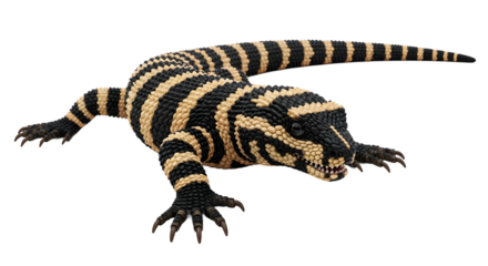 Beaded Gila monster a venomous lizard with black and yellow stripes isolated on white