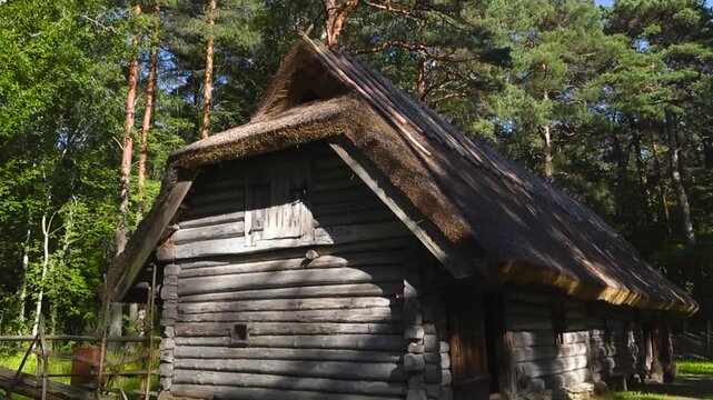 Traditional log building with thatch roofing in forest summer nature background. Weathered wooden walls in old farm building, surrounded by tall trees and rustic wooden fence. Sunlight casting shadows