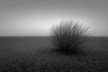 Abstract Explosion Of Particles In Monochrome Landscape