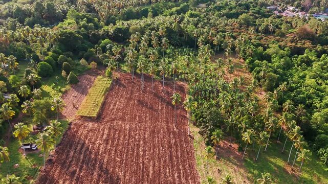 High aerial drone view of tropical farmland showing a large section of freshly tilled, rich red earth next to a small cultivated plot. Surrounded by dense palm trees and scattered houses.