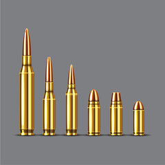 Assortment of golden bullets in various sizes aligned on a neutral showcasing ammunition types and firearm accessories for hunting or target practice and defense purposes