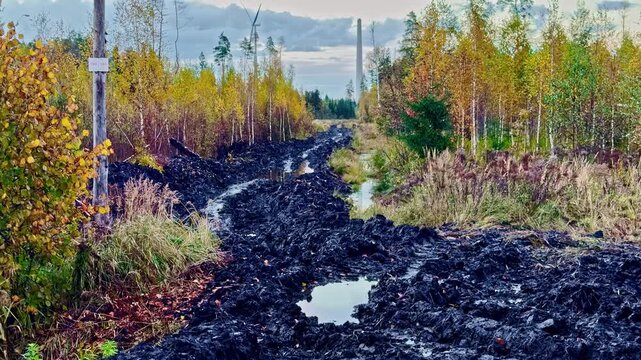 Ground-level view of a heavily rutted muddy track through an autumn forest