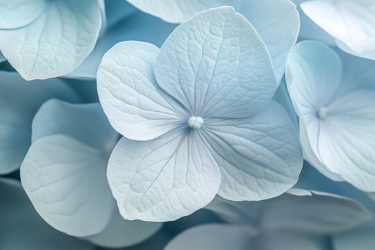 A serene garden with a variety of flowers and plants, including a prominent blue hydrangea in the foreground and a white hydrangea in the background.