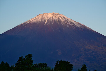 朝日を浴びる富士山
