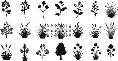Fototapeta premium Botanical plant silhouette set, diverse foliage vector icons, flower, grass, shrub and tree shapes pack, flat vector illustration