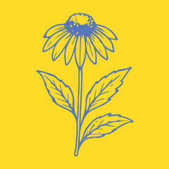 Botanical-style drawings of healing plants