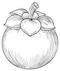 Elegant detailed drawing of tropical mangosteen fruit with linear texture and floral crown isolated for digital design use