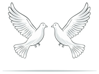 Obraz premium Two Doves Facing Each Other Illustration Peace Love Hope Symbol Open Wings Flying Birds Sketch Style Artwork