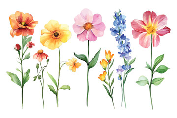 Naklejka premium Watercolor flower set for decoration design, transparent background, vector, illustration