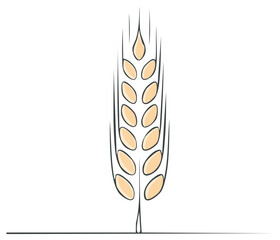 Minimalistic illustration of wheat or grain crop, representing harvest, field, bakery, or health concept.