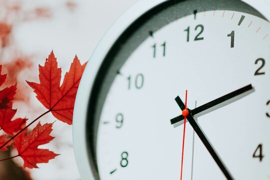 clock with autumn leaves Close-up macro shot of a wall clock with red maple leaves symbolizing daylight saving time, fall back season, and autumn time adjustment.