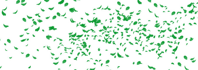 Swirling cluster of green leaves and petals on a white background
