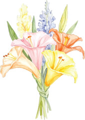 Watercolor painting of a bouquet of lilies, transparent background, vector, illustration