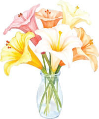 Watercolor painting of lilies in a vase, transparent background, vector, illustration