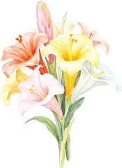 Watercolor painting of a bouquet of colorful lilies, transparent background, vector, illustration