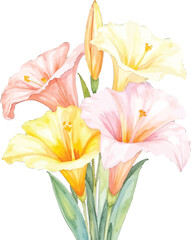 Watercolor painting of a colorful lily bouquet, transparent background, vector, illustration