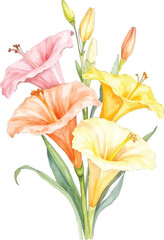 Watercolor illustration of a bouquet of colorful lilies, transparent background, vector, illustration