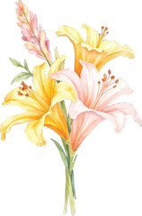 Watercolor painting of a bouquet of lilies, transparent background, vector, illustration