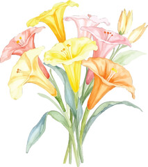 Watercolor painting of a colorful lily bouquet, transparent background, vector, illustration