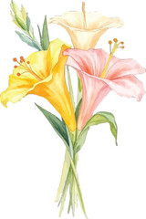 Watercolor painting of a bouquet of lilies, transparent background, vector, illustration
