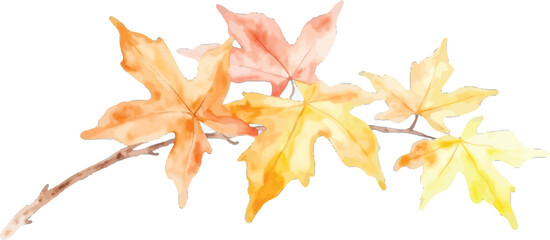 Watercolor painting of a branch with autumn leaves in warm tones, transparent background, vector, illustration