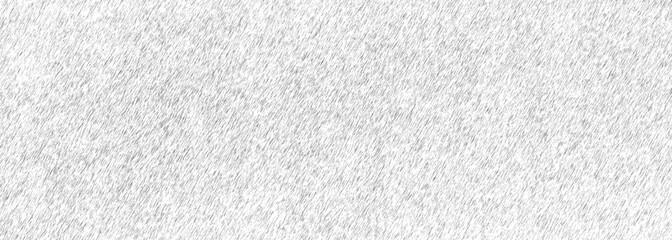 White static noise texture background
