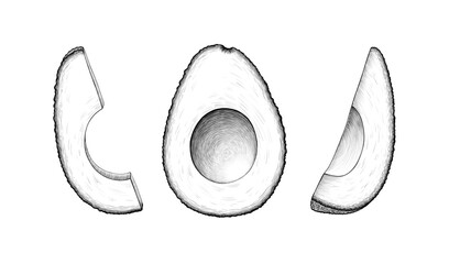 Set of Avocado hass fruit Graphic line art Pencil sketch on white background Exotic plant