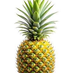 Pineapple Close-up of a fresh pineapple with green leaves on black background