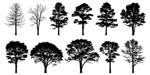 Tree silhouette icon set illustration in black and white line art showing seasonal and species variations in branching and foliage