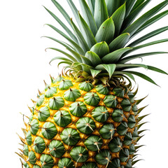 Ripe pineapple shows yellow-green textured skin & spiky crown