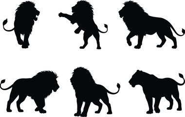 Lion silhouettes in dynamic poses, roaring, crouching, walking, standing alert, wild animal forms, flat vector